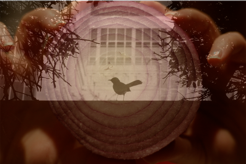 Illustration for article titled 69 Daring Double Exposures